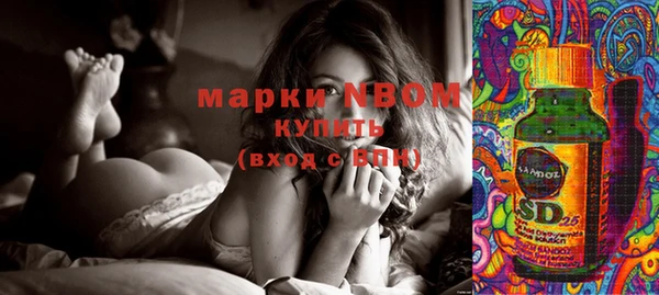 прущие крисы Абаза