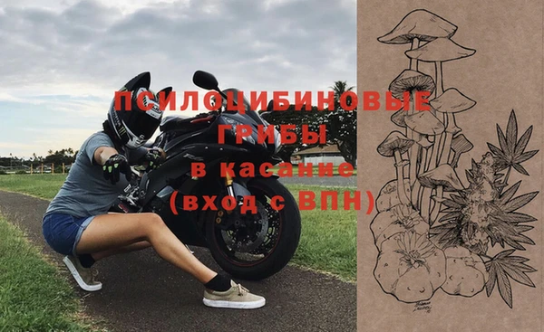 СК Абинск