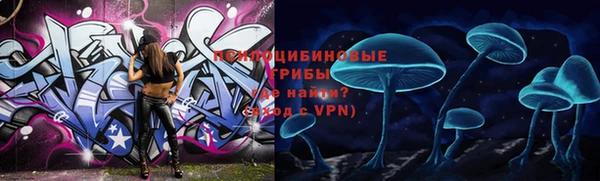 прущие крисы Абаза